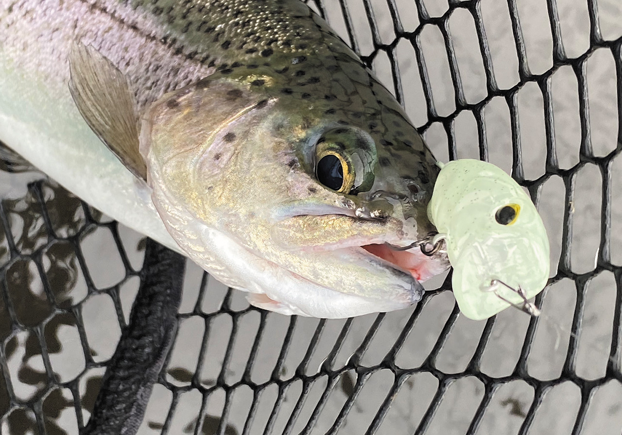 ポイントのイメージ画像