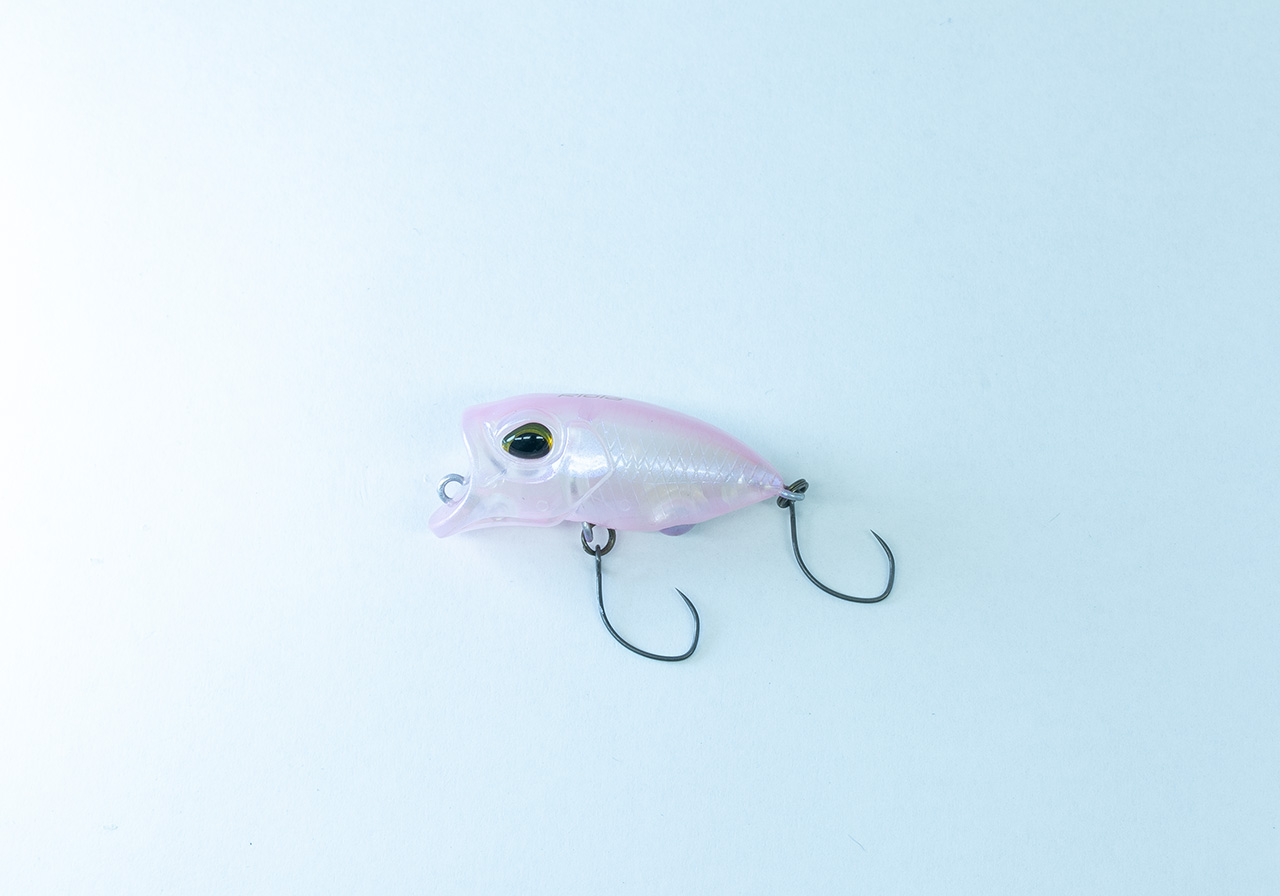 Riolaのイメージ画像