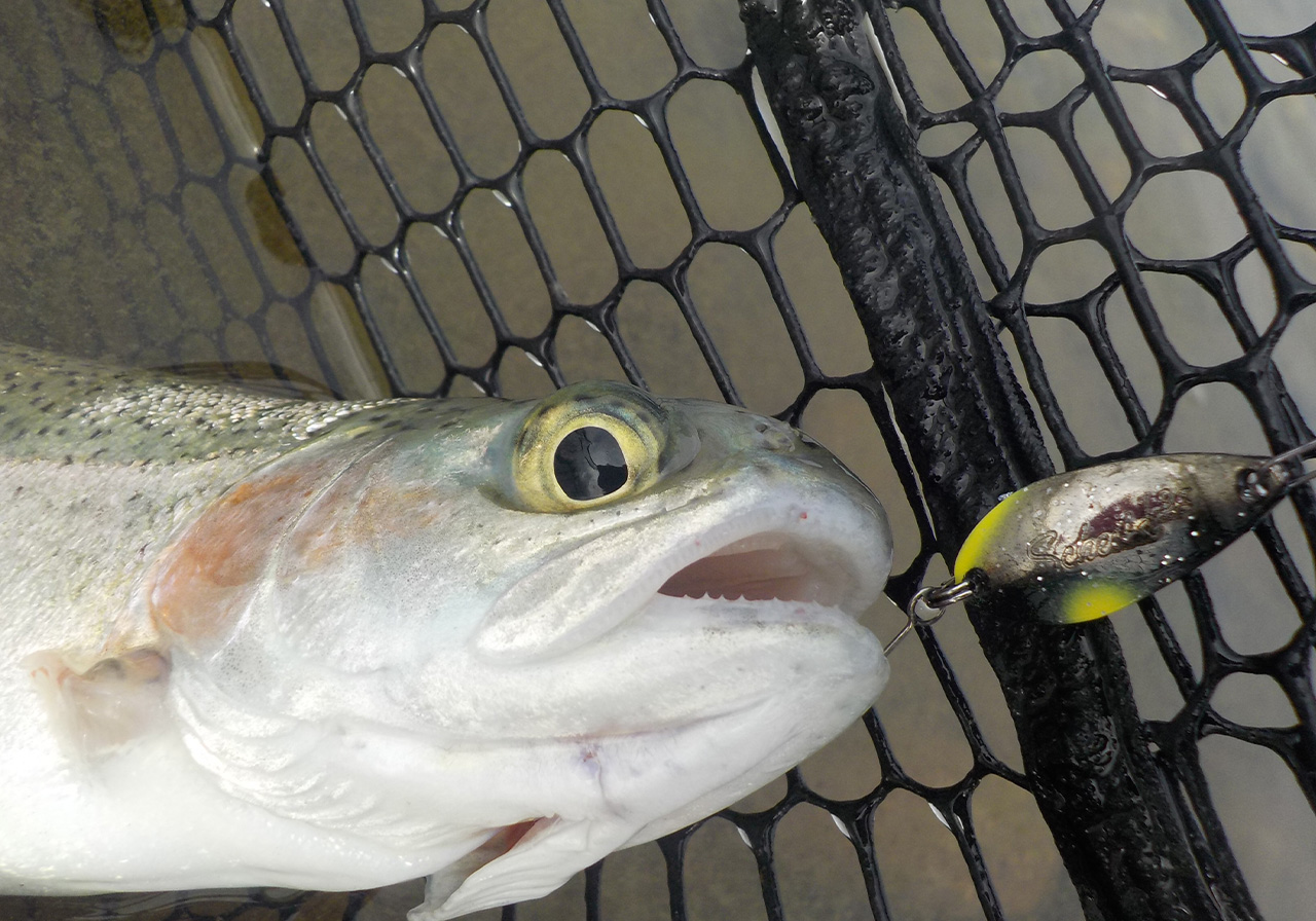 ポイントのイメージ画像