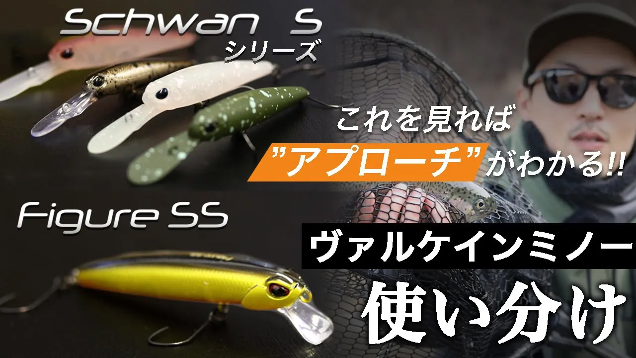 Schwan Sの動画サムネイル