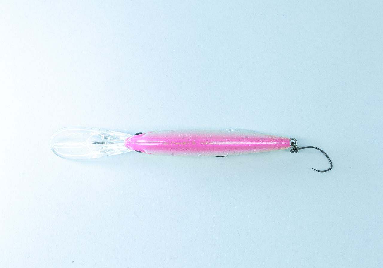 Schwan S nanoのイメージ画像