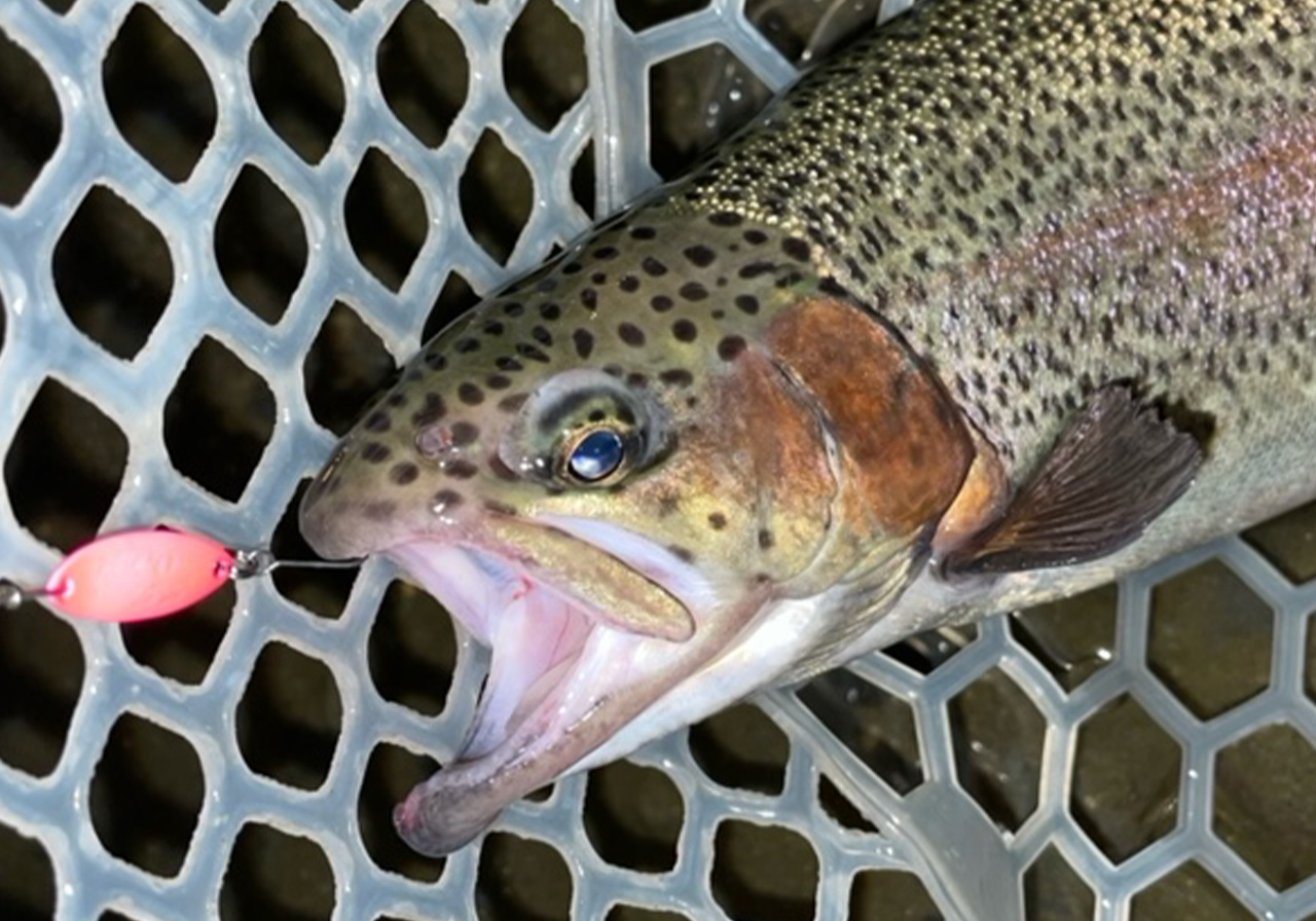 ポイントのイメージ画像