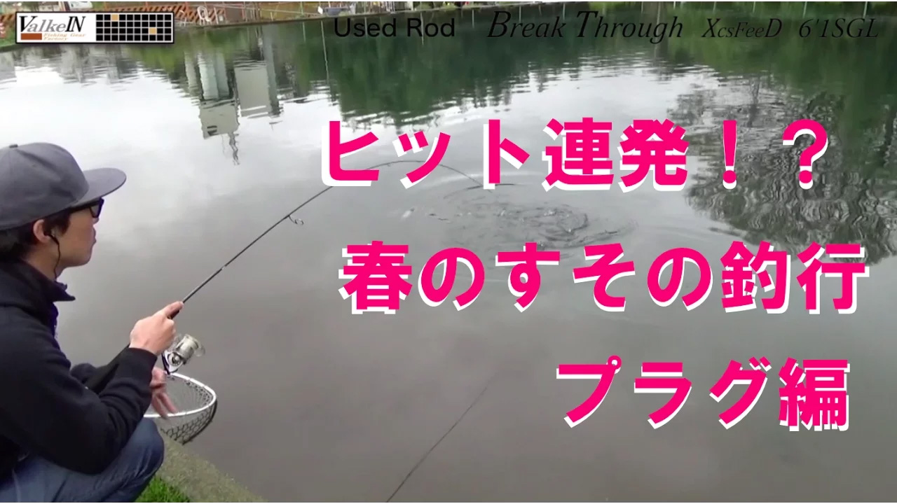 Shine Rideの動画サムネイル