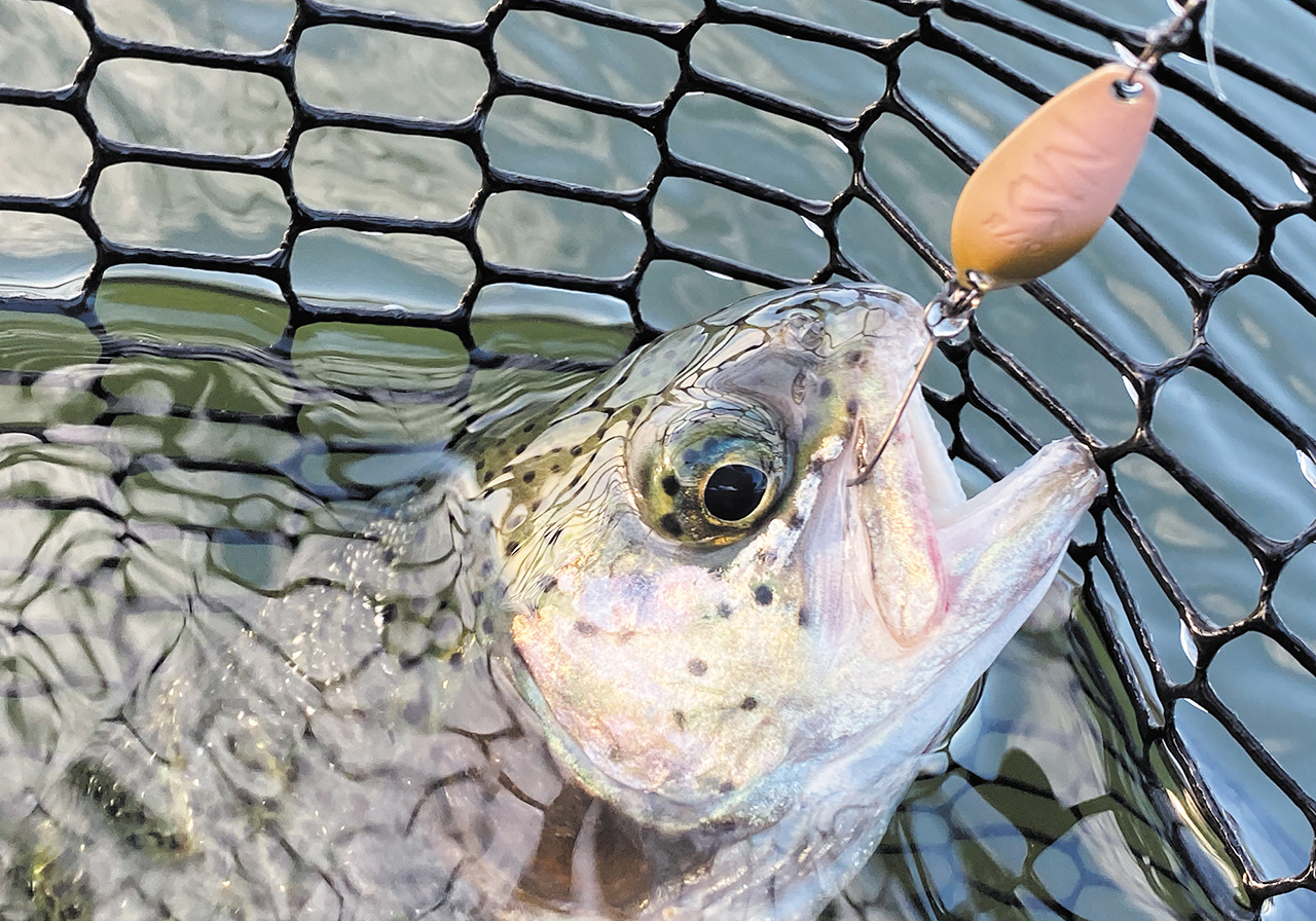 パフォーマンスのイメージ画像