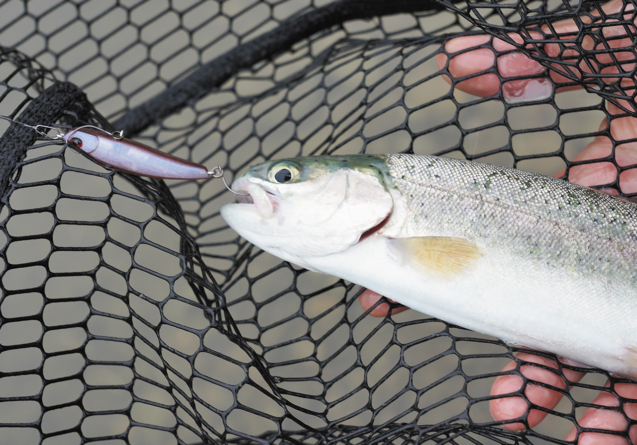 パフォーマンスのイメージ画像