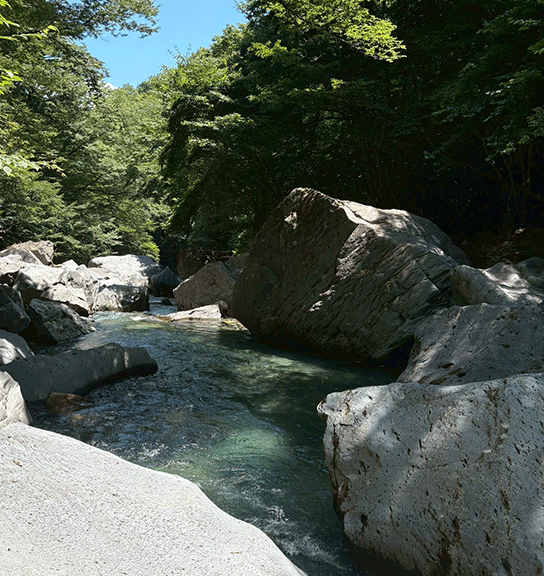 透き通る流れに躍るフィガーNTs　木の俣川・真夏の釣行記