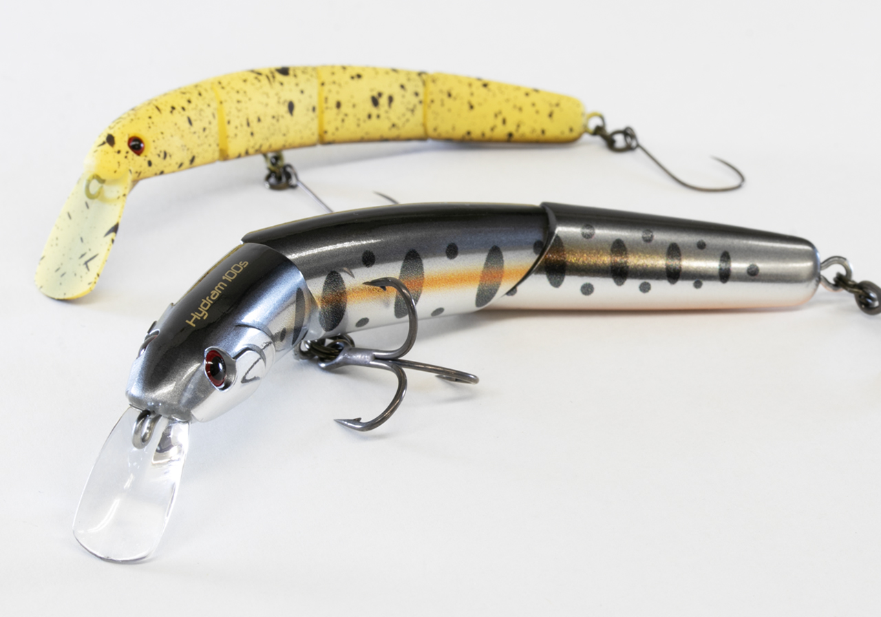 エボリューションのイメージ画像