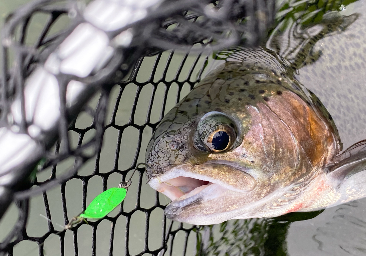 パフォーマンスのイメージ画像