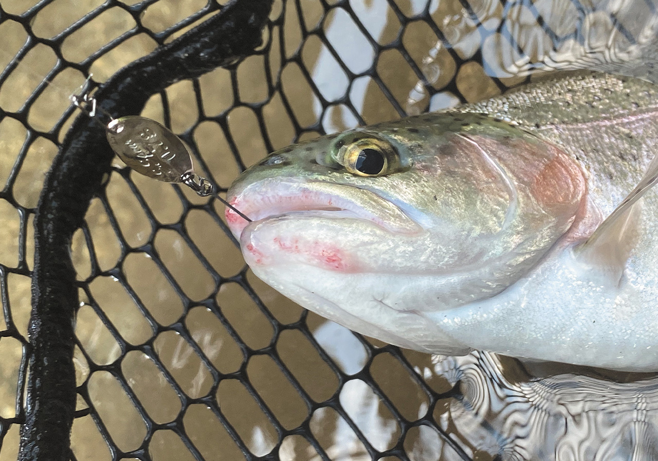 パフォーマンスのイメージ画像