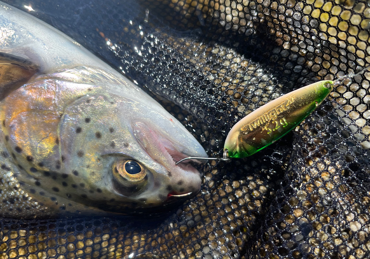 ポイントのイメージ画像