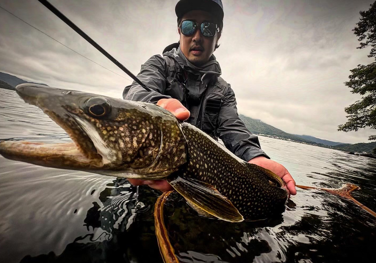 ポイントのイメージ画像